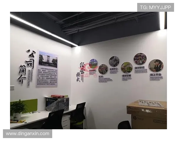 了解盈丰国际的企业文化与核心价值观，开启合作新机遇